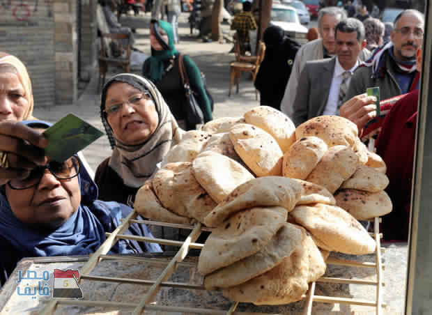 وزارة التموين: خطة لتحديد سعر الرغيف بـ55 قرشاً.. و75 جنيه لكل فرد شهريا