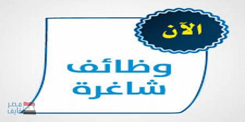 الأوقاف تعلن عن توافر فرص عمل في مساجد النذور.. تعرف على الشروط المطلوبة