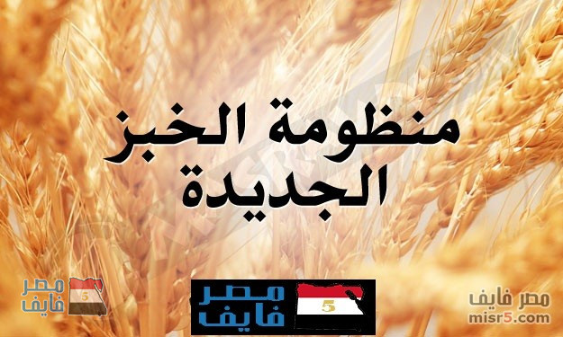 وزارة التموين : تحويل الدعم العيني للخبز إلى نقدي تعرف علي التفاصيل