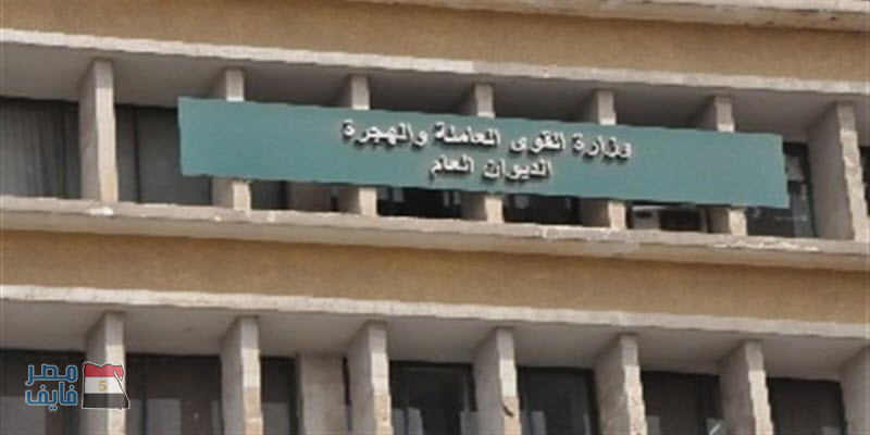 القوى العاملة تعلن عن توافر فرص عمل للأطباء في دولة خليجية.. الشروط والأوراق المطلوبة