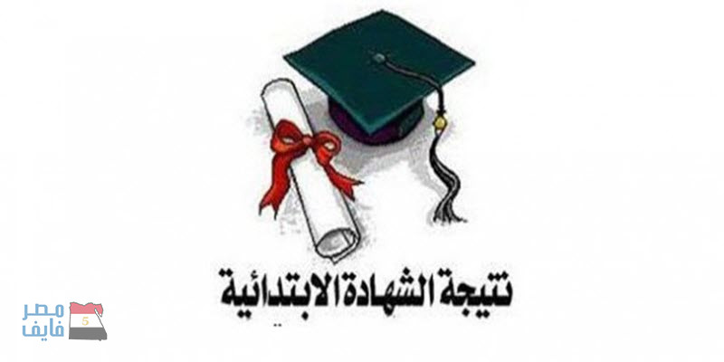 نتيجة الصف السادس الابتدائى 2019 الترم الثانى