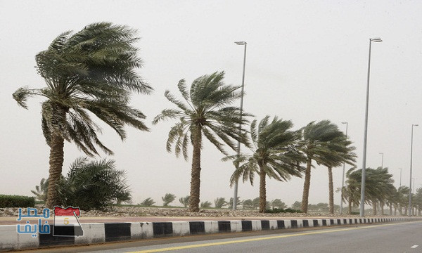 الأرصاد تؤكد.. هدوء سرعة الرياح وارتفاع درجات الحرارة وعودة الشبورة المائية وسقوط أمطار على المناطق التالية اليوم