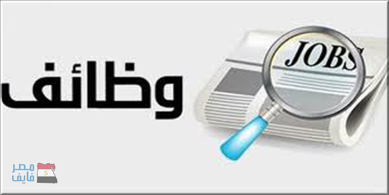 البنك الزراعي المصري يعلن عن توافر فرص عمل لحديثي التخرج في المحافظات.. الشروط وروابط الاستمارة والأوراق المطلوبة