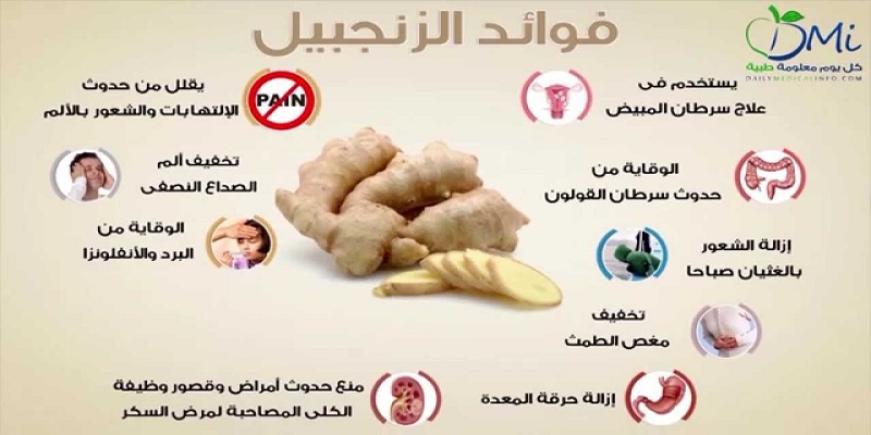 فوائد الزنجبيل لصحة الإنسان