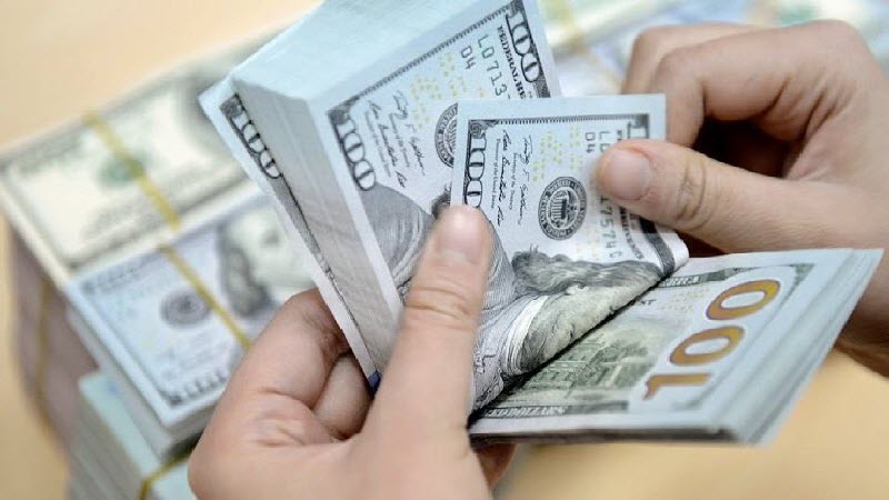 المالية تكشف حقيقة تثبيت سعر الدولار عند 17.50 جنيه في الموازنة العامة الجديدة للدولة