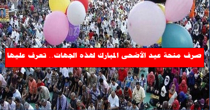 صرف منحة عيد الأضحى لهذه الجهات.. تعرف عليها