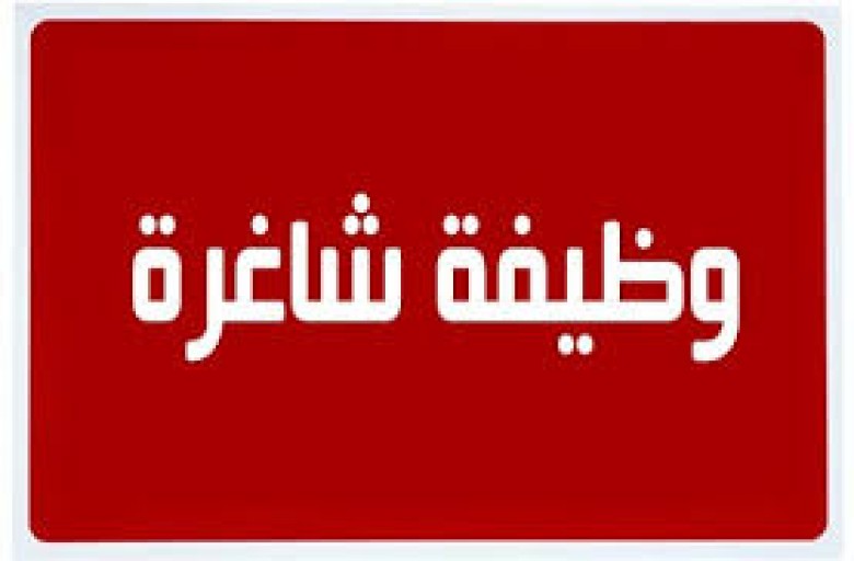 فرص عمل متاحة بالهيئات الحكومية لمختلف المجالات