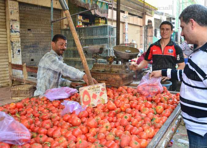 وزارة الزراعة تكشف حقيقة وجود طماطم سامة بالأسواق المصرية