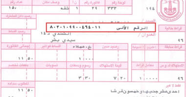 تعرف على فاتورة الكهرباء وكيف تحسب استهلاكك الشهري وطرق السداد أون لاين