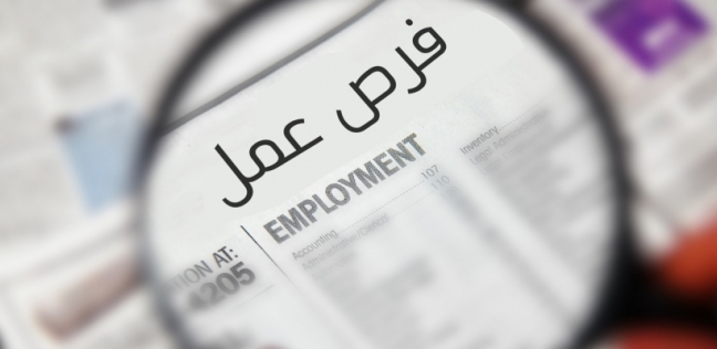 القوى العاملة تعلن عن وظائف للخريجين بالسويس