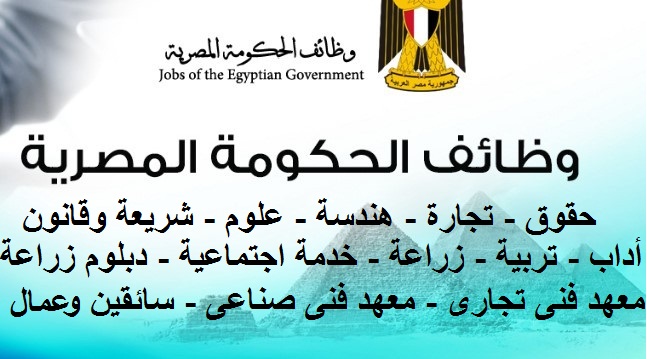 بالتفاصيل.. الحكومة تعلن عن 12 ألف فرصة عمل جديدة للشباب بـ 4 الآف جنيه