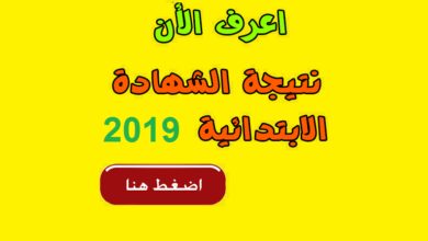 نتيجة الصف السادس الابتدائي الترم الثاني برقم الجلوس 2019