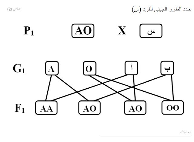 امتحان الاحياء المتوقع للصف الأول الثانوى دور مايو 2019