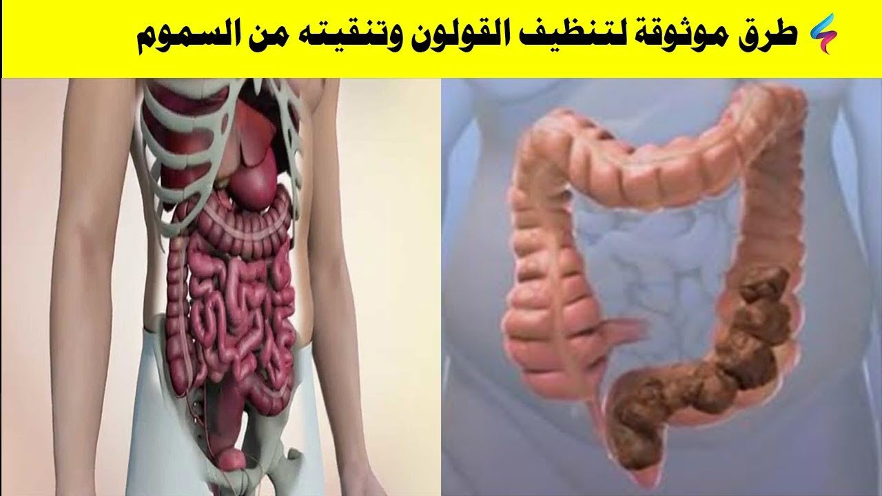 طرق التخلص من فضلات وسموم الجهاز الهضمي