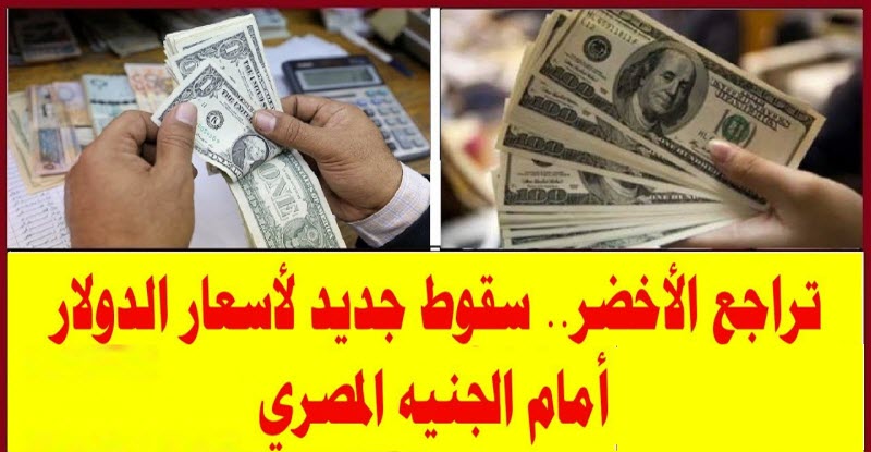 بلوتون | الدولار سوف يواصل التراجع ليصل إلى 16 جنيه