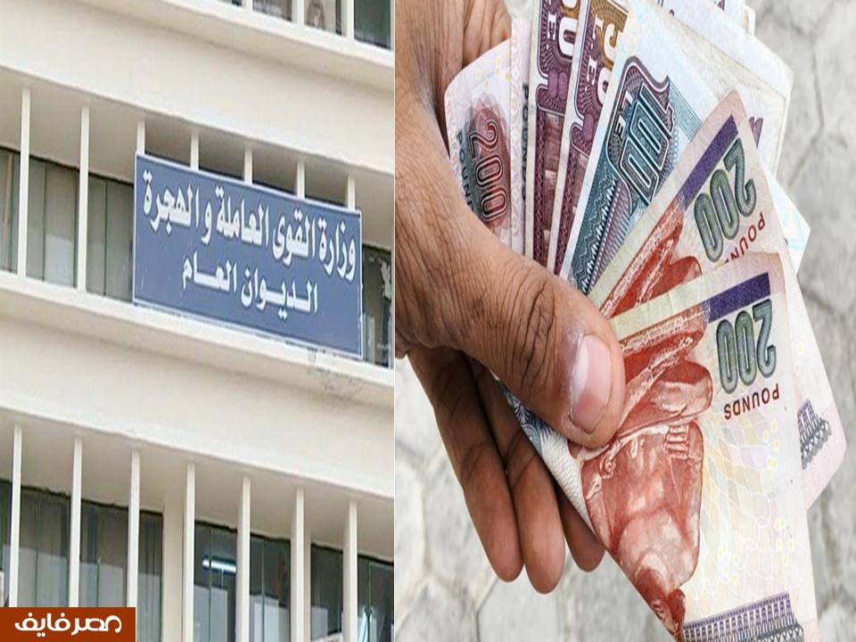 القوي العاملة تعلن عن صرف 5.2 مليون جنيه لـ 10 ألاف عامل كمنحة للعمالة غير المنتظمة