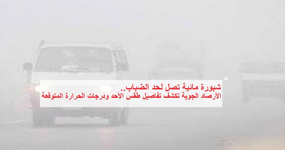 الأرصاد الجوية تُعلن عن تفاصيل طقس الغد الأحد ودرجات الحرارة والمتوقعة وتُحذر من الشبورة المائية