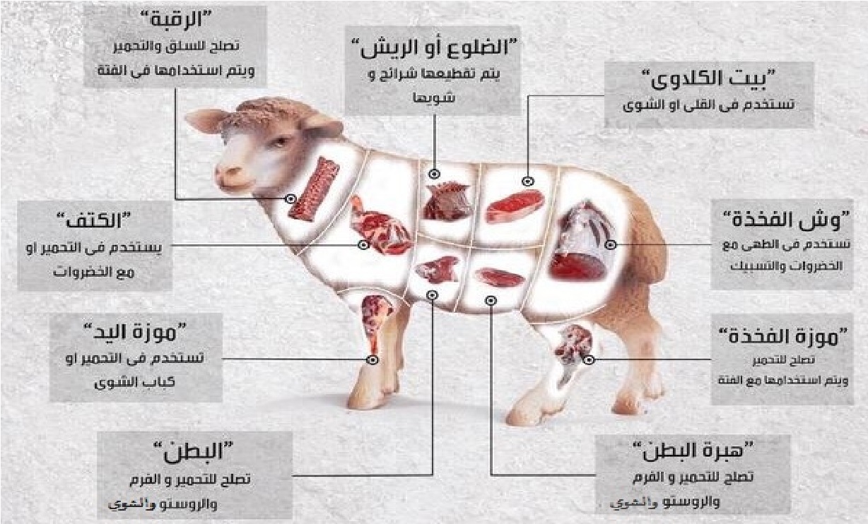 أفضل أجزاء لحم الخروف للشوي أو للسلق وعمل الفتة دلع نفسك في العيد