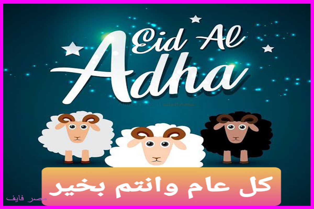 صور ورسائل تهنئة عيد الأضحى حصرية ومميزة|أجمل معايدة خاصة للأحباب