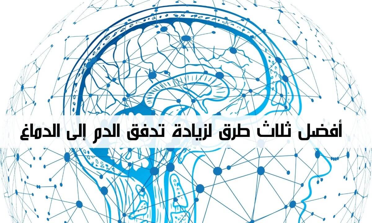 أفضل ثلاثة طرق لزيادة تدفق الدم إلى الدماغ بمقدار حاجته