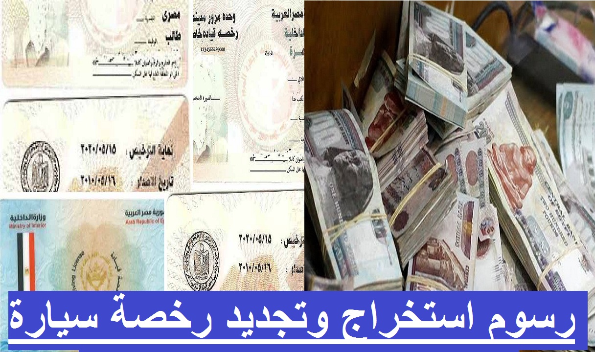 قانون المرور الجديد 2021.. الرسوم الجديدة لاستخراج وتجديد رخصة سيارة وفق القانون الجديد