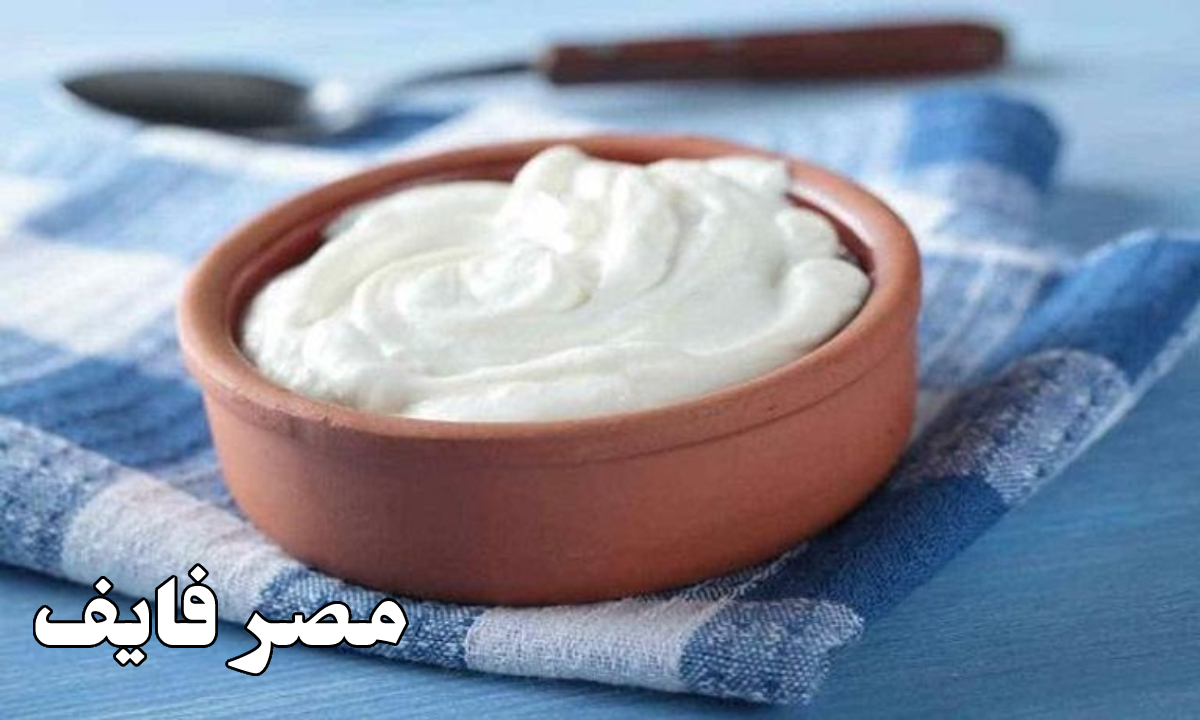 طريقة عمل الزبادي في البيت بسهولة