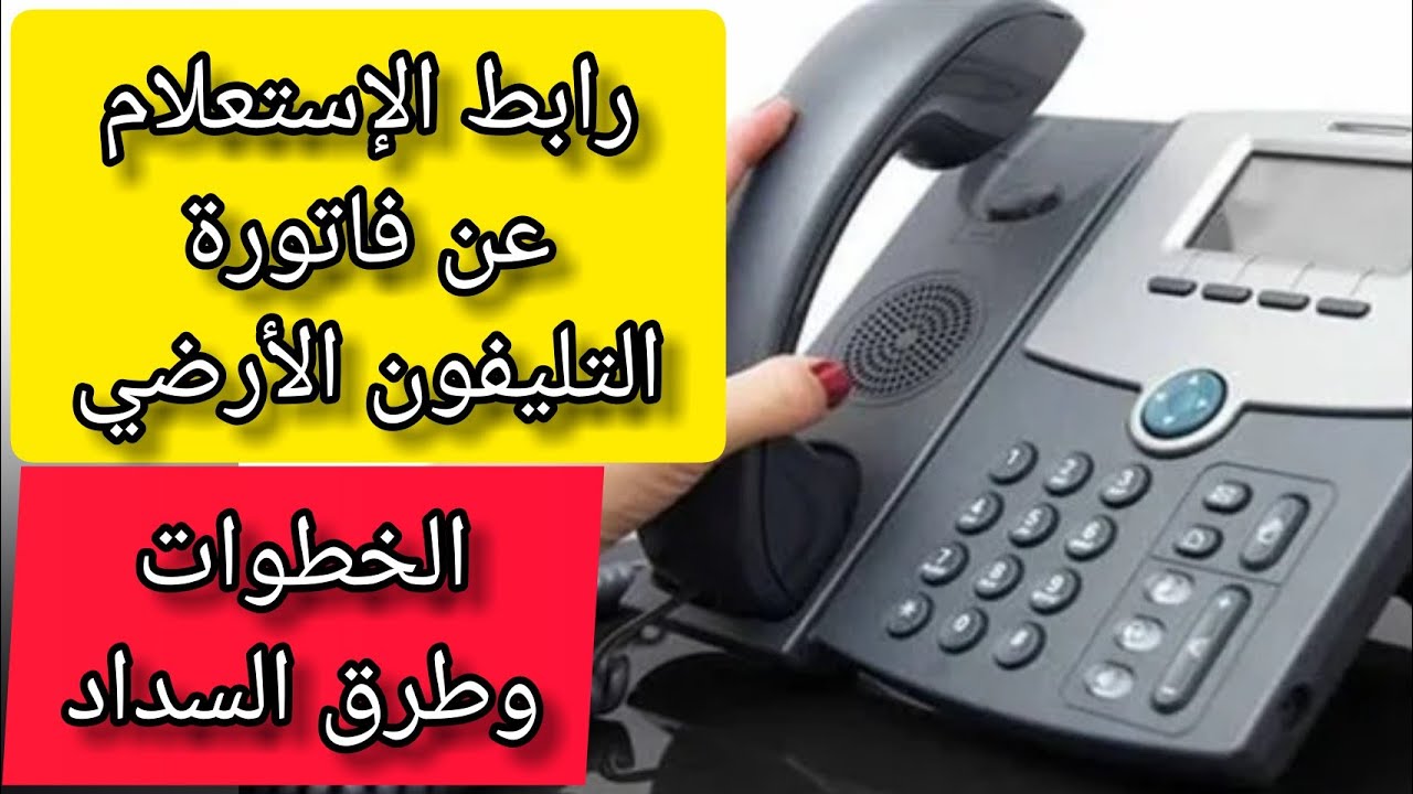 رابط الاستعلام عن فاتورة التليفون الأرضي we وطريقة الدفع للفواتير أون لاين