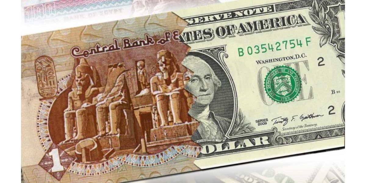 إرتفاع سعر الدولار مقابل الجنيه في ختام تعاملات اليوم الثلاثاء بالبنوك المصرية