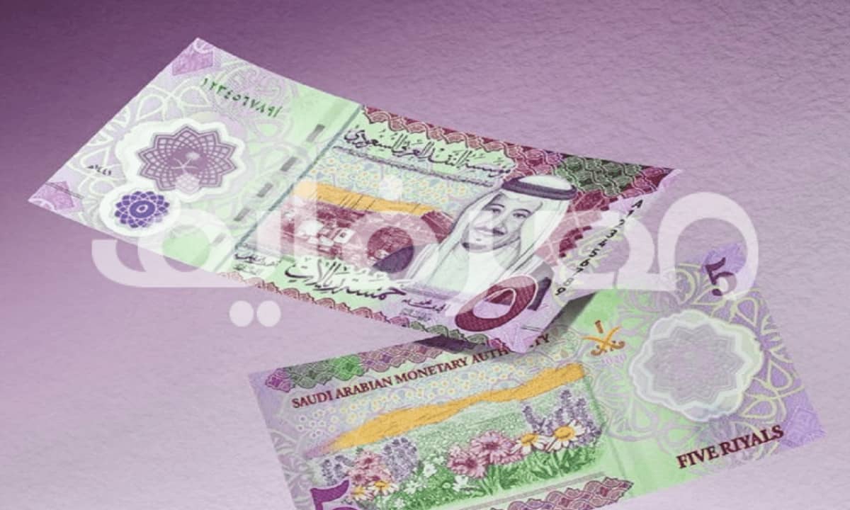 سعر الريال السعودي في مصر اليوم مقابل الجنيه والعملات الجمعة 2022/8/12