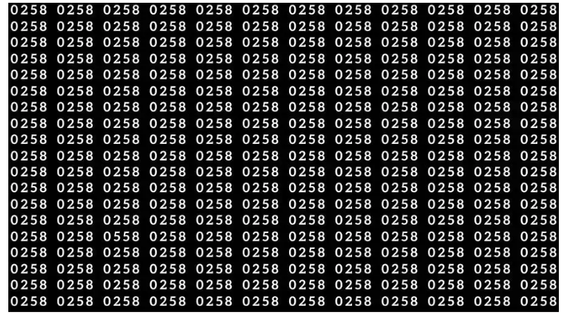 لغز صعب ومحير للأذكياء… ابحث عن رقم 0558 من بين 0258 خلال 12 ثانية