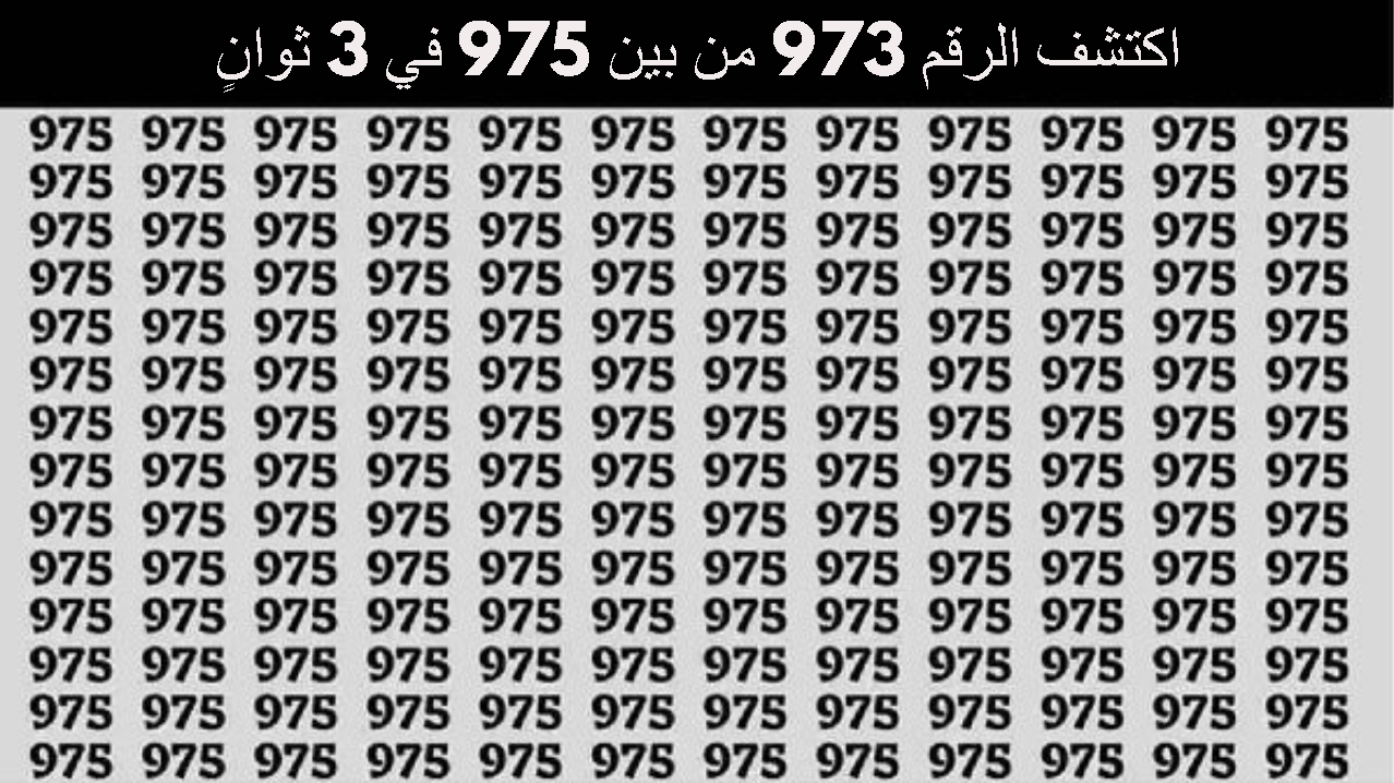 اختبار معدل الذكاء بالوهم البصري.. لديك عيون نسر إذا تمكنت من اكتشاف الرقم 973 من بين 975 في 3 ثوانٍ