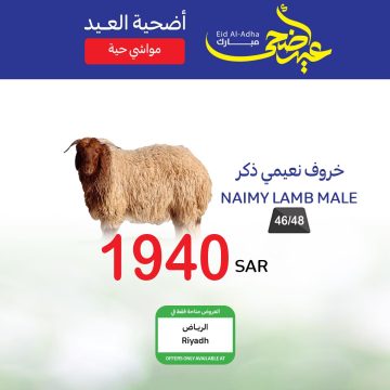 عروض كارفور السعودية على الأضاحي الحية والمذبوحة أشتري أفضل الأضاحي بأقل سعر