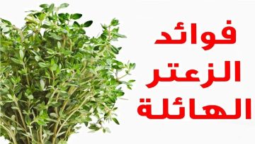 فوائد الزعتر للجسم تجعلك تبحث عنه في كل مكان