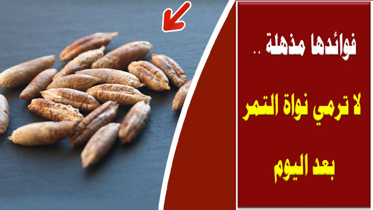 فوائدها مذهلة .. لا ترمي نواة التمر بعد اليوم