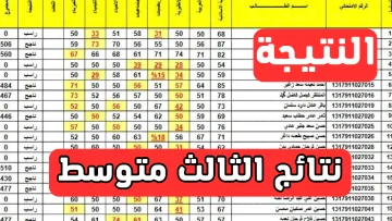 صدرت مع تنزيل pdf نتائج الثالث المتوسط 2023 نتائجنا الدور الأول بالرقم الامتحاني والاسم