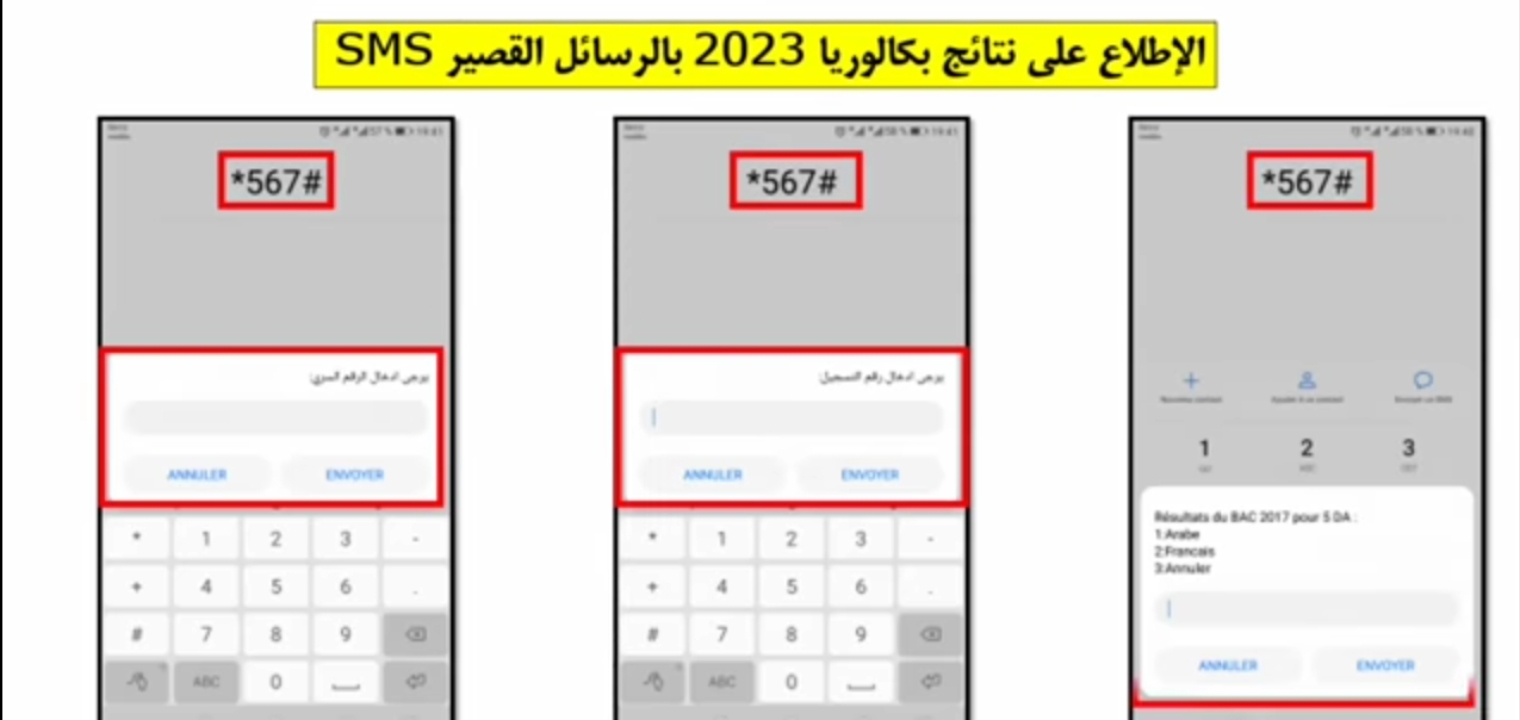 لينك نتائج البكالوريا الجزائر 2023 وكيفية الإستعلام مجانا