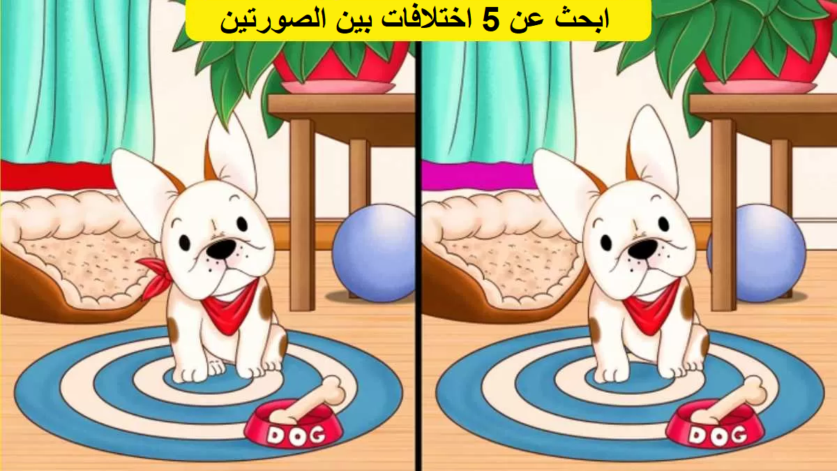 تحدي الذكاء وسرعة البديهة.. هل يمكنك العثور على 5 اختلافات بين الصورتين خلال 25 ثانية؟