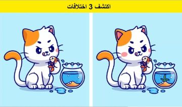 لغز اكتشاف الاختلافات.. إذا استطعت رؤية 3 اختلافات في صورة القطة التي تأكل السمك في غضون 12 ثانية، فأنت ذكي جدًا