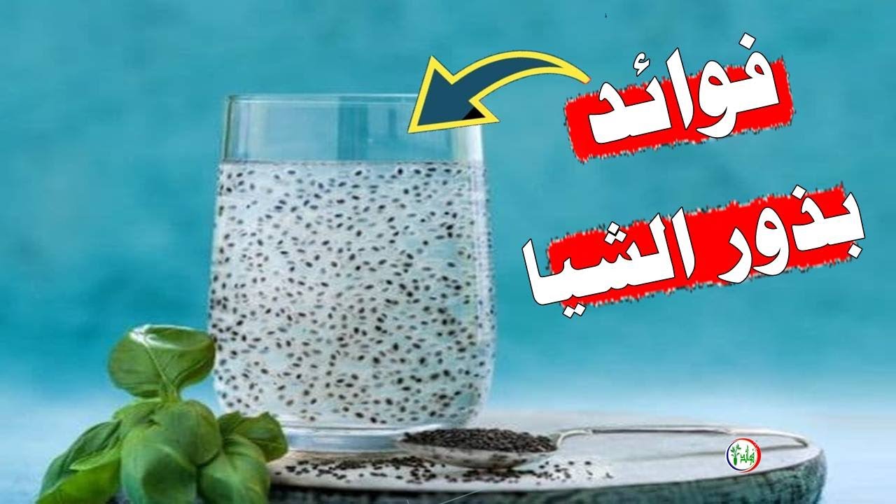 نتيجة مبهرة للتخسيس.. 10 فوائد صحية لـ بذور الشيا لا تعلمها